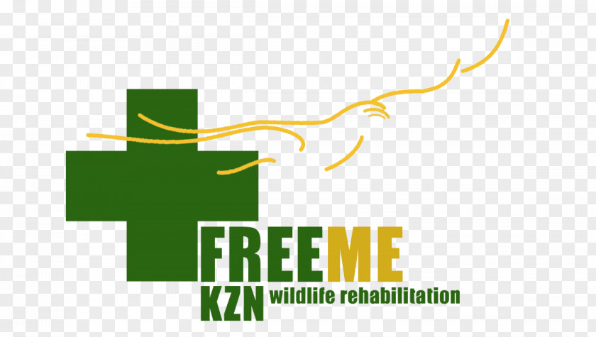 World Rabies Day Howick, KwaZulu-Natal Free Me Wildlife Rehabilitation K Z N Hilton, Midlands Of PNG