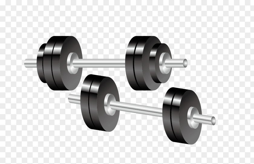 Barbell Fitness Equipment Sport Euclidean Vector Ball Icon PNG