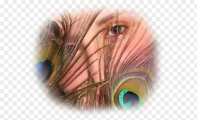 Face .net Eyebrow Forehead Eyelash PNG