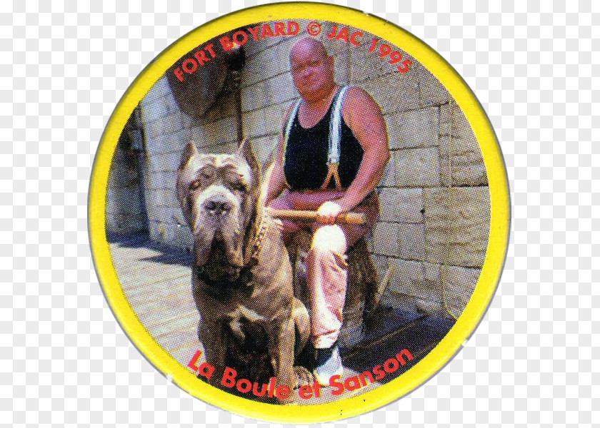 Fort Boyard Milk Caps Tazos Television In France Dog Breed PNG