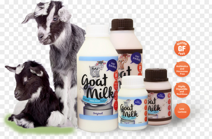 Goat Milk Hay Dairies Pte Ltd PNG