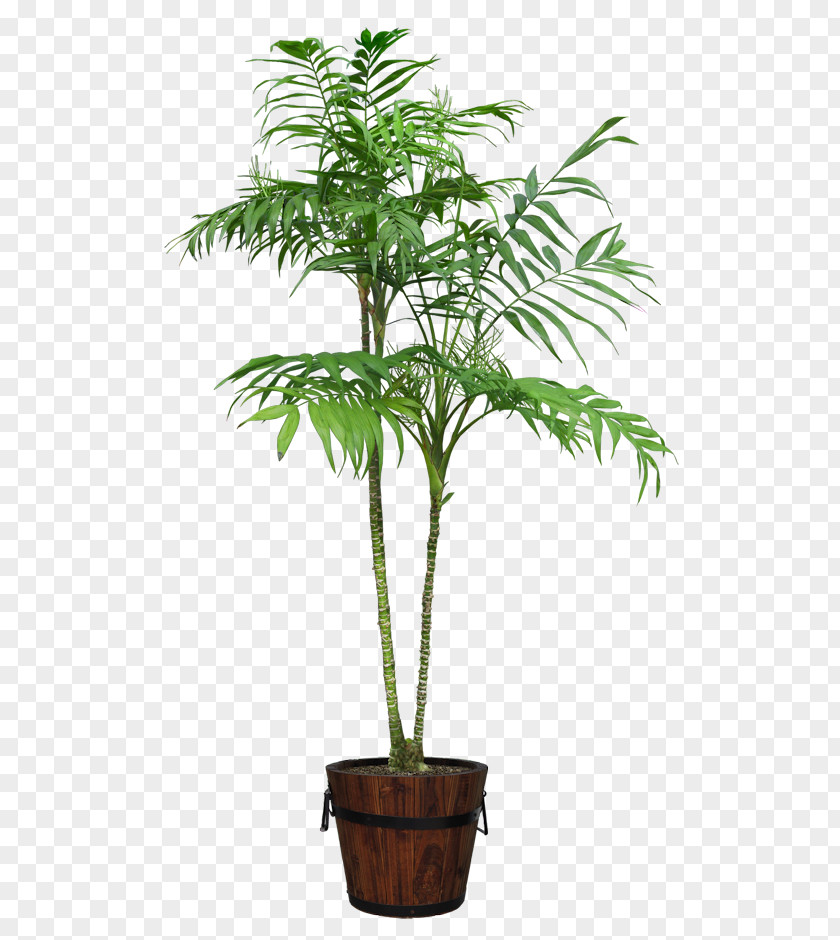 Hairdresser Houseplant Flowerpot PNG