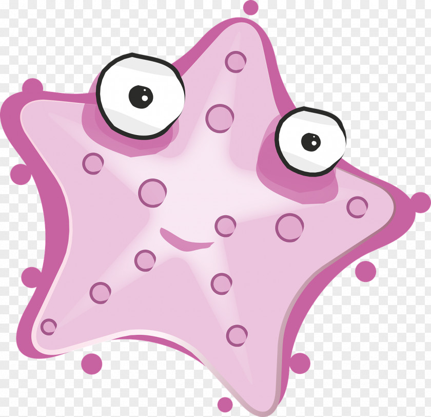 Orange Starfish Decoration Paper Pixabay Illustration PNG