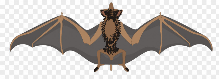 Bat Images Clip Art PNG