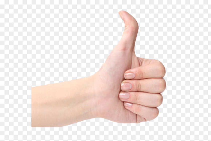 Bend The Direction Of Thumb Finger Gesture Hand PNG