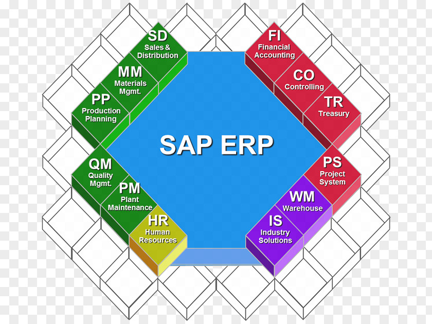 Business SAP ERP Enterprise Resource Planning SE R/3 Modul PNG