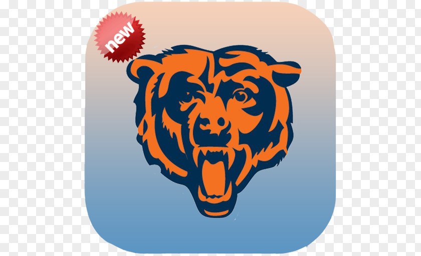 Chicago Bears NFL Wall Decal Sticker PNG