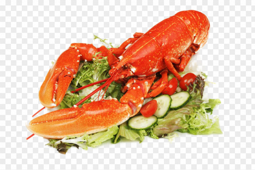 Delicious Lobster Crayfish As Food Caridea Vegetable PNG