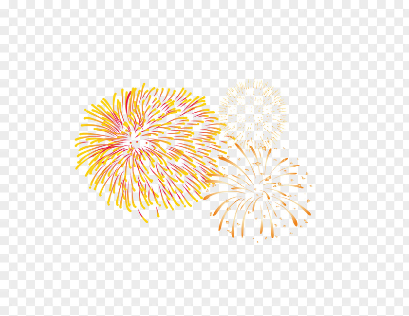 Fireworks Phxe1o Sky Google Images PNG