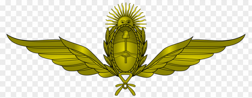 Military Argentina Argentine Air Force Armed Forces Of The Republic PNG