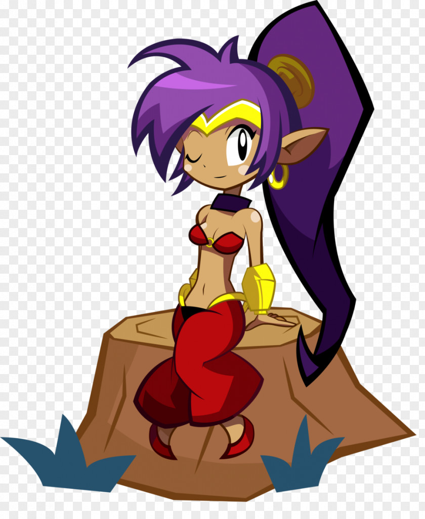 Shantae: Half-Genie Hero Shantae And The Pirate's Curse Risky's Revenge Wii U Video Game PNG
