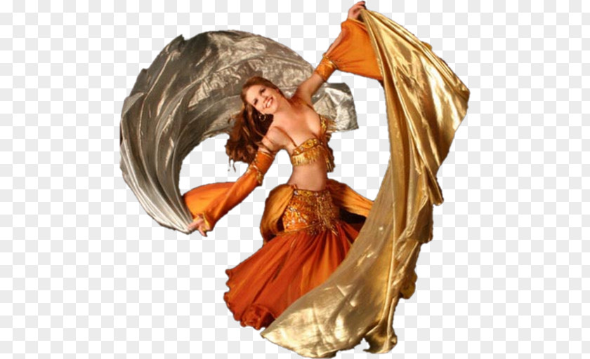 Belly Dance The Art Of Dancing Dresses, Skirts & Costumes PNG
