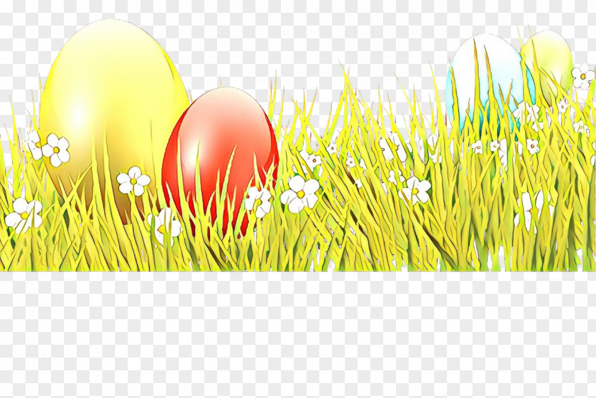 Desktop Wallpaper Easter Egg Commodity Sunlight PNG
