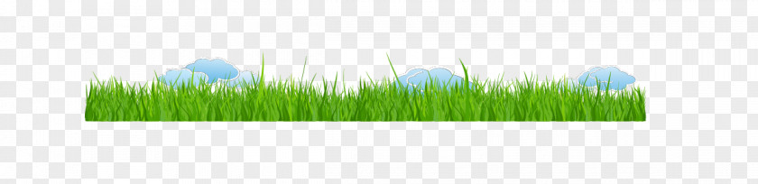 Grass Wheatgrass Brand Wallpaper PNG