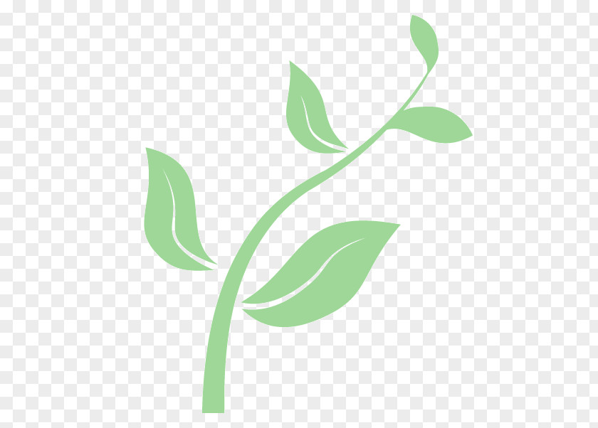Plant GROWING Seedling From Seed To Clip Art PNG