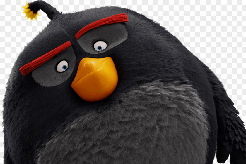 Angry Birds Mighty Eagle Film PNG