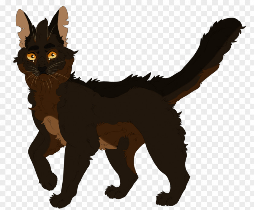 Cat Black Kitten Warriors DeviantArt PNG
