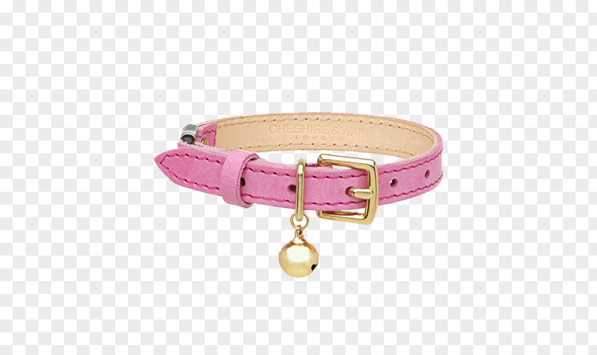 Cat Dog Collar Leather PNG
