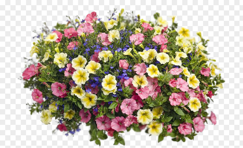 Flower Floral Design Flowerpot Garden Petunia PNG