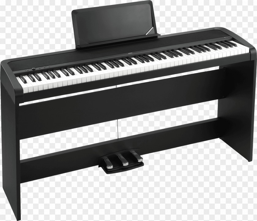 Piano KORG B1SP Digital Musical Instruments PNG