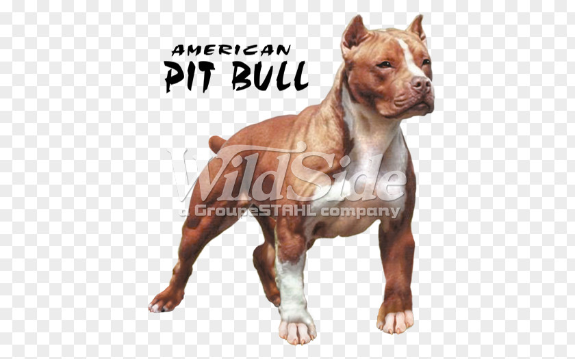 T-shirt American Pit Bull Terrier Bully PNG