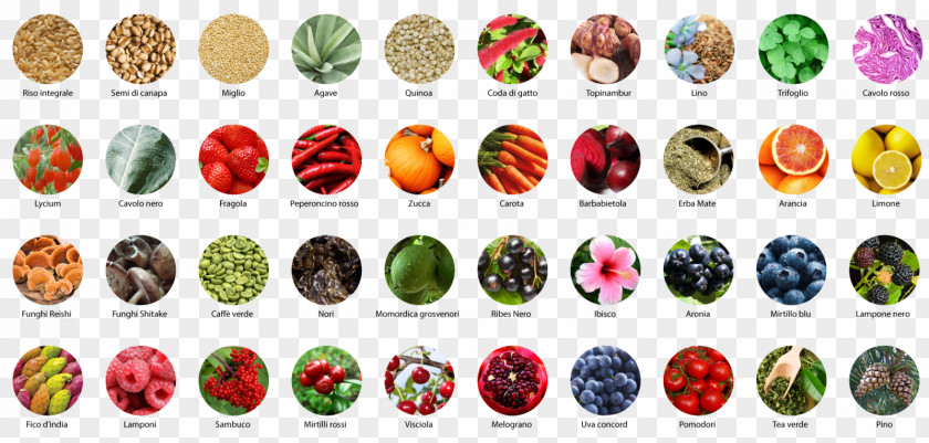 Bead Color Chart Protein Food PNG