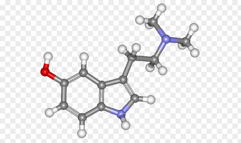 Brain Serotonin 5-HT Receptor Neurotransmitter PNG
