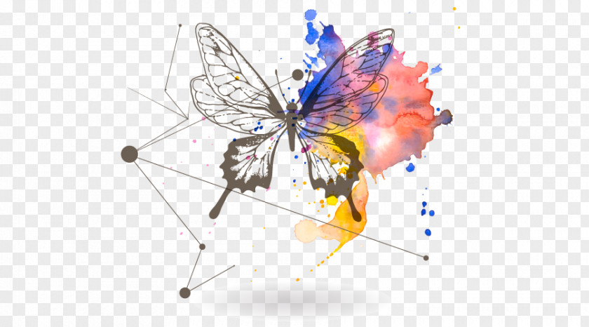 Butterfly Effect PNG