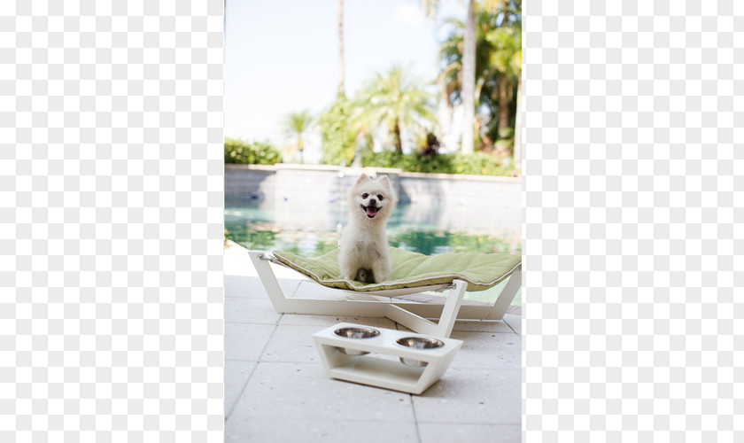 Dog Table Wood Hammock Furniture PNG