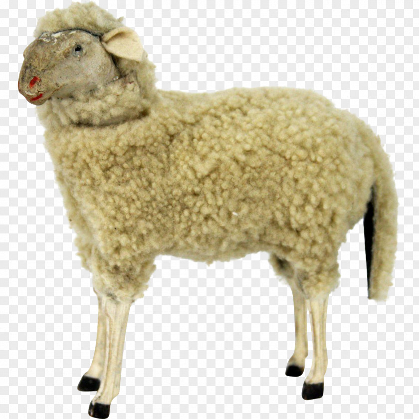 Sheep Goat Wool Terrestrial Animal PNG