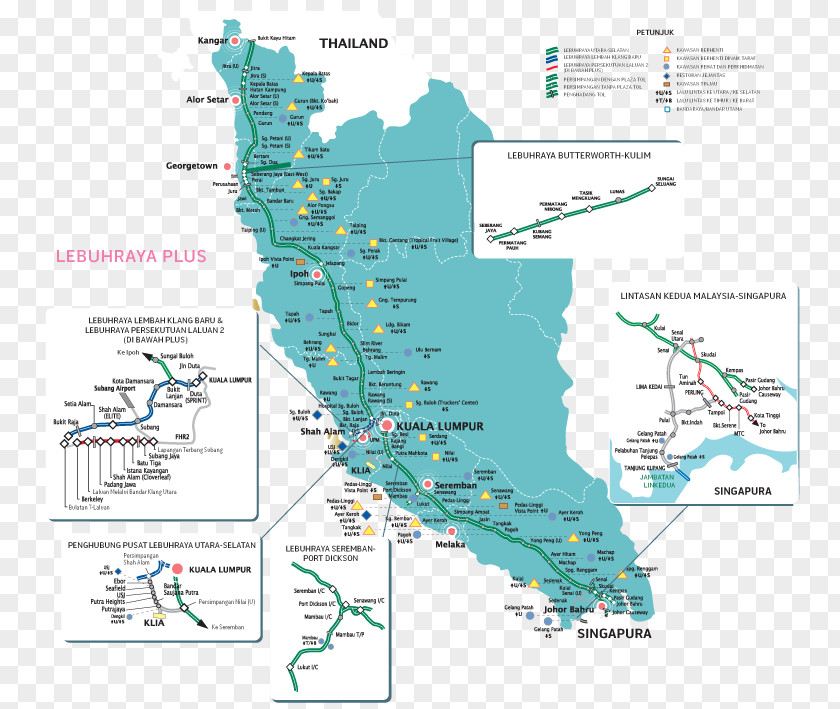 Water Resources Tree Map Tuberculosis PNG