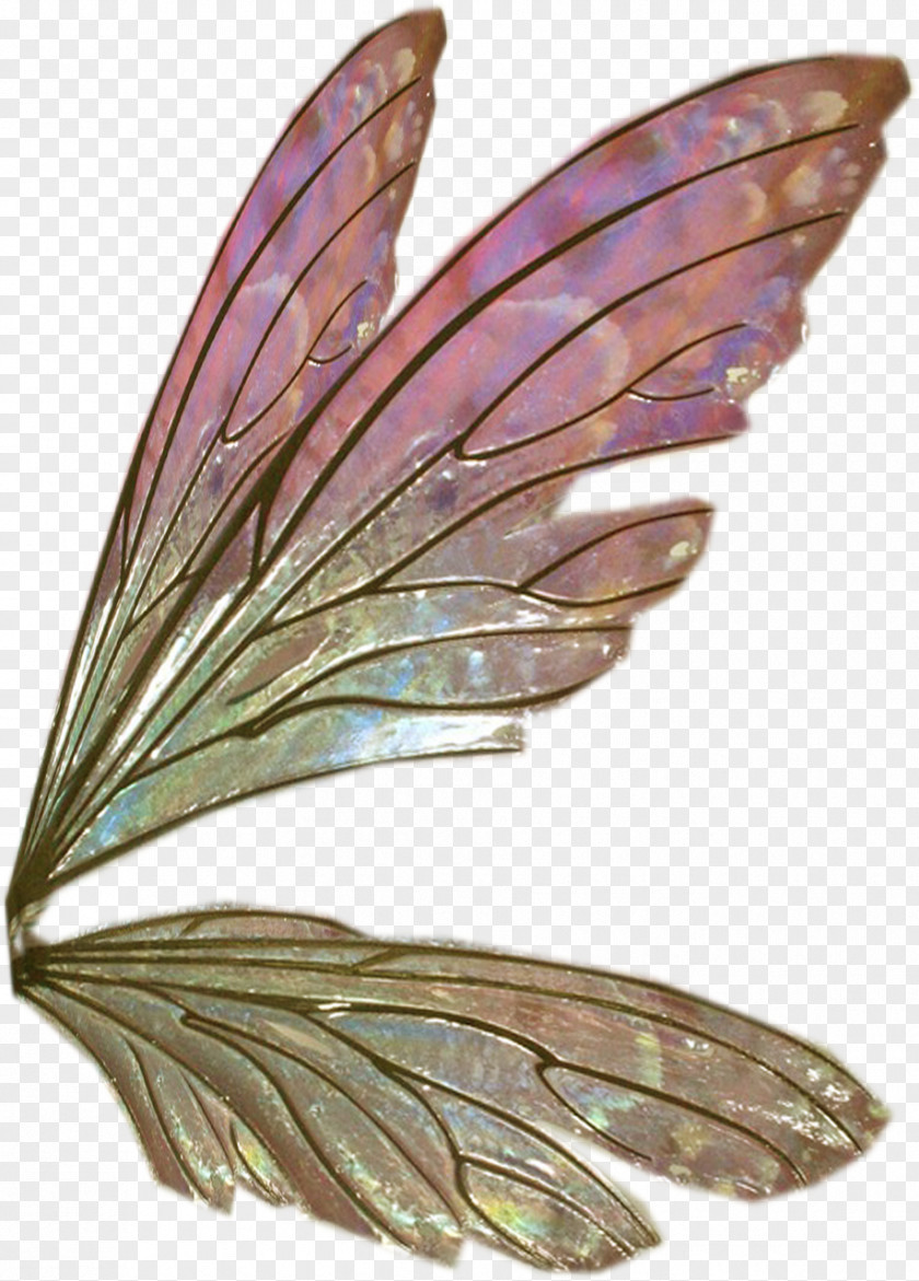 Butterflies Float Wing Feather Sticker Clip Art PNG