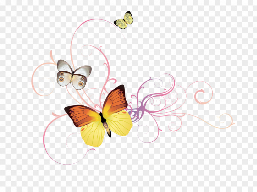 Butterfly Royalty-free Drawing Flower PNG