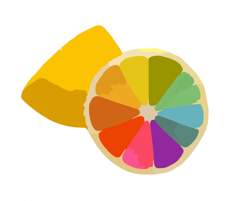 Colorful Orange Petals Color Wheel Scheme Theory PNG