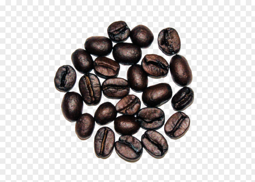 Jamaican Blue Mountain Coffee Cocoa Bean Commodity Seed PNG