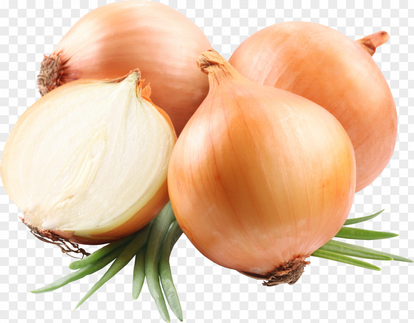 Onion Red Yellow White French Soup PNG