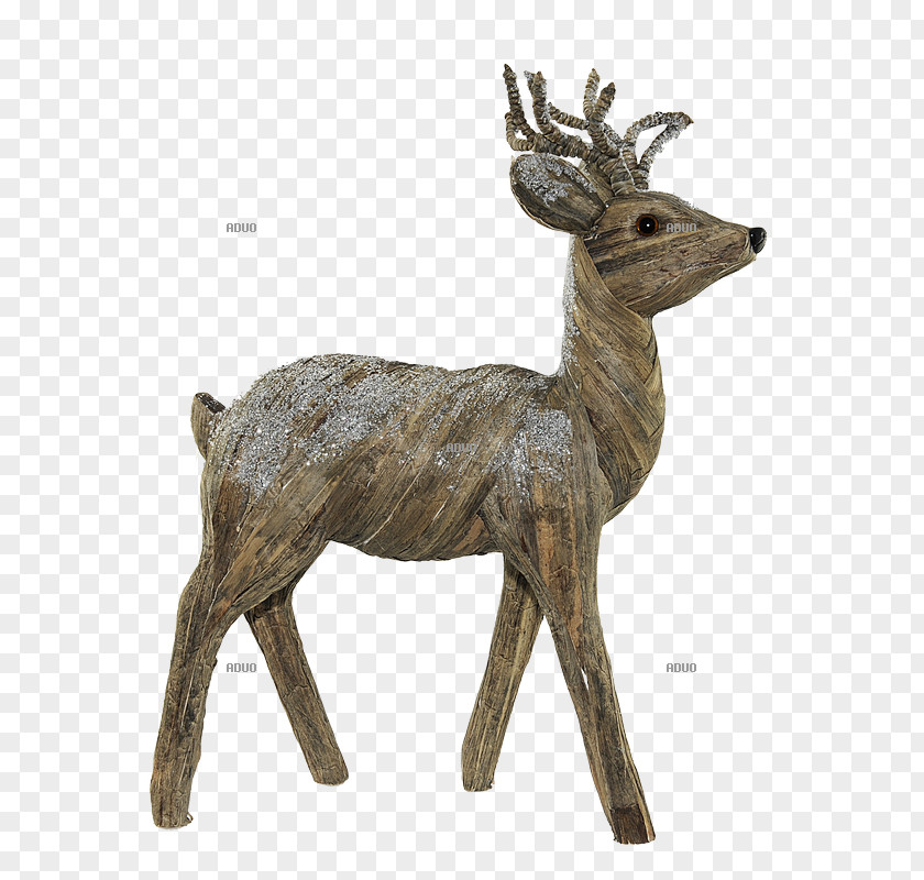 Reindeer White-tailed Deer Elk Antler PNG