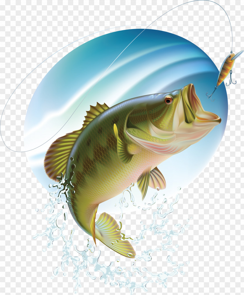 Fishing Largemouth Bass PNG