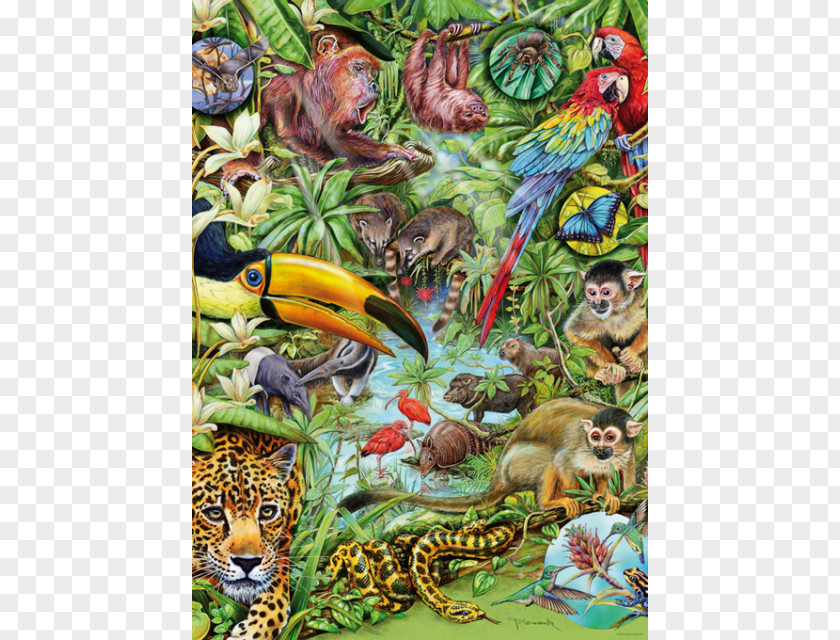 Flora Fauna And Merryweather Jigsaw Puzzles Rainforest PNG