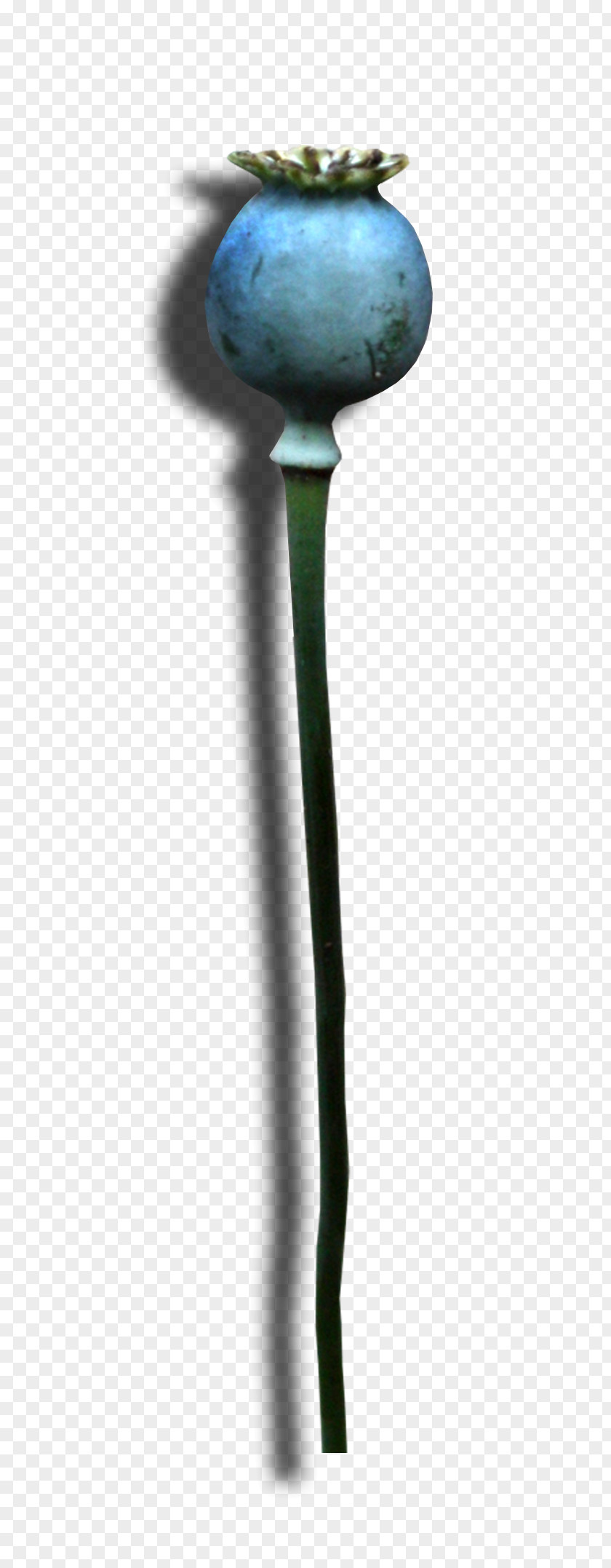 Flower Plant Stem PNG