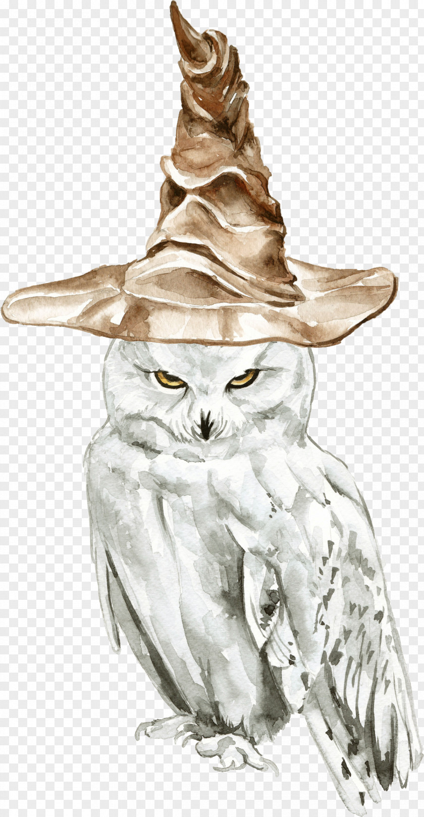Harry Potter Owl Books Drawing Illustration Sketch PNG