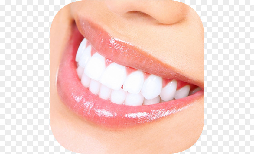 Healthy Teeth Tooth Whitening Dentistry Human PNG