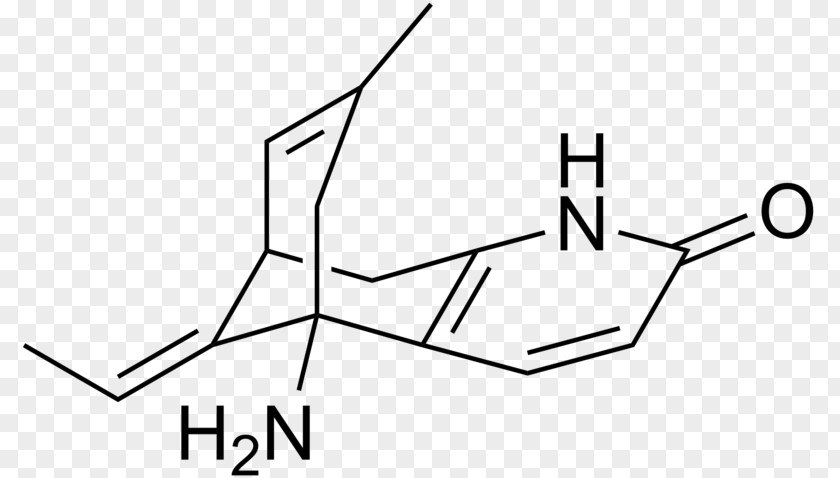 Huperzine A Nootropic Acetylcholinesterase Inhibitor PNG