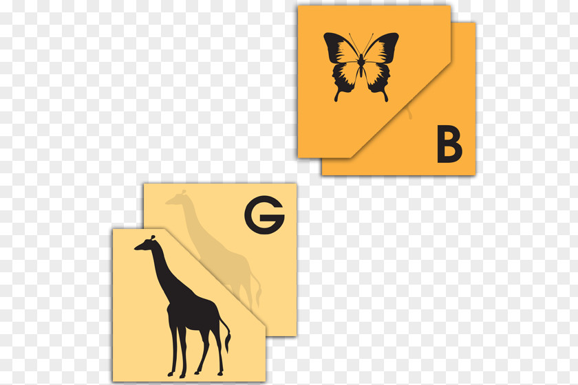 Letter Card Alphabet Flashcard Learning Giraffe PNG