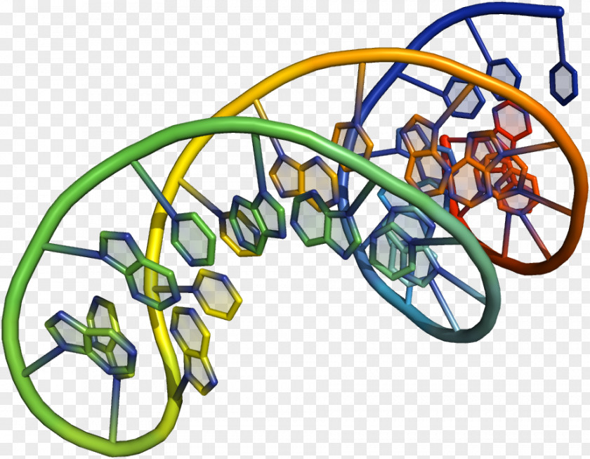 Oligonucleotide Synthesis DNA Nucleobase RNA PNG synthesis RNA, purification clipart PNG