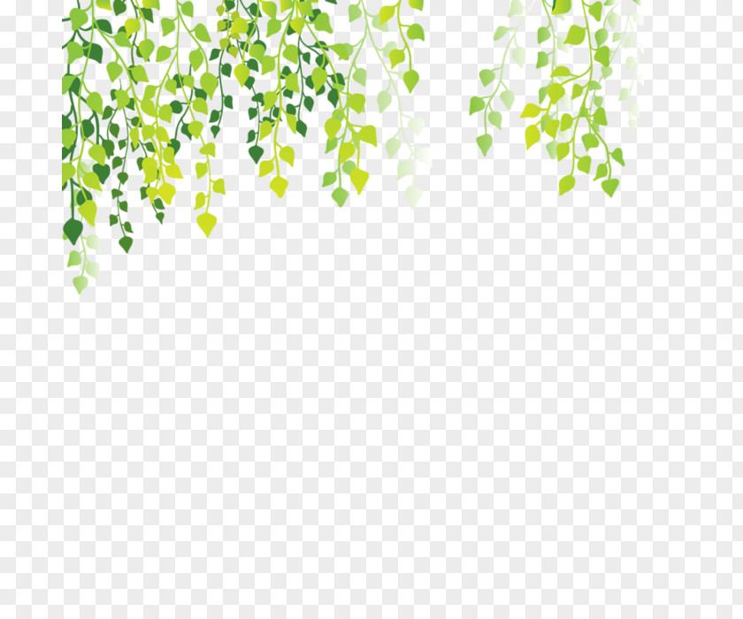 Tender Green Leaves Background Decoration Leaf Clip Art PNG