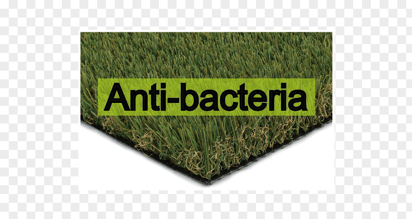 Anti Bacteria Artificial Turf Lawn Meadow Synthetic Fiber Adalékanyag PNG