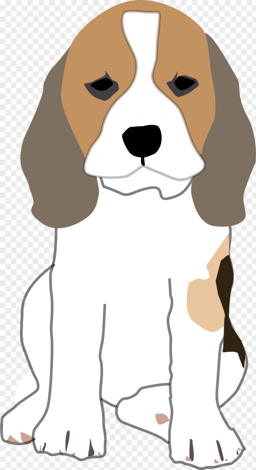 Beagle Cliparts Pug Bloodhound Chihuahua Puppy PNG