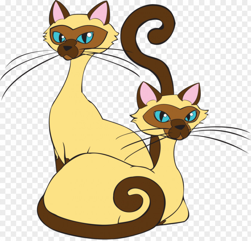 Kitten Siamese Cat Whiskers Domestic Short-haired Tabby PNG