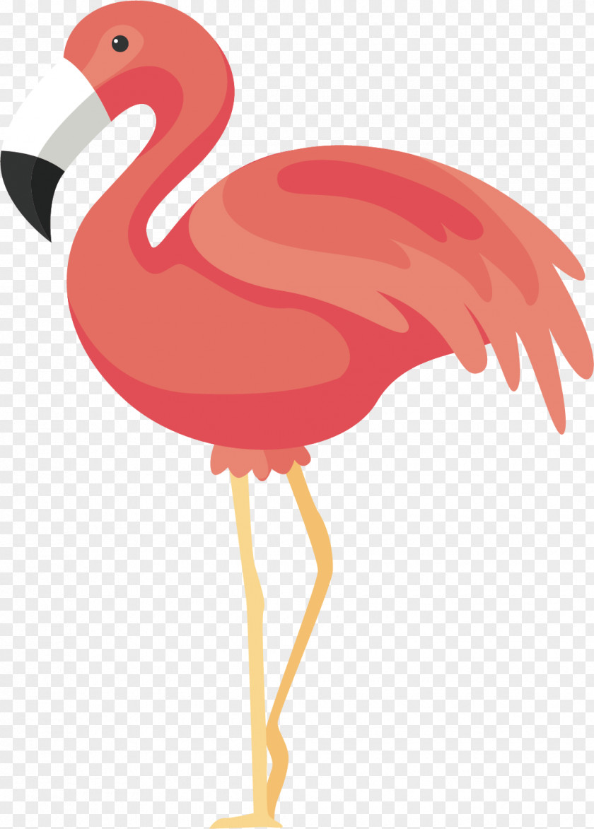 Pink Red-crowned Crane Flamingos Bird Icon PNG